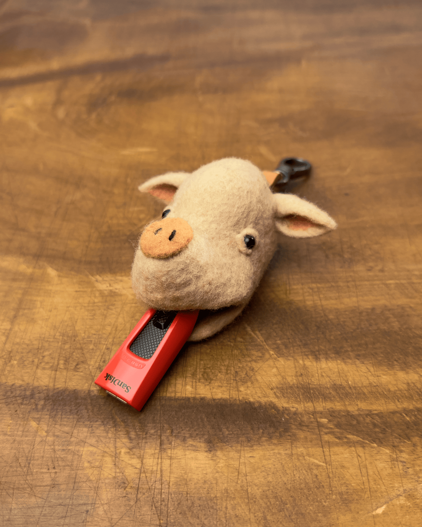 Pig Key Case