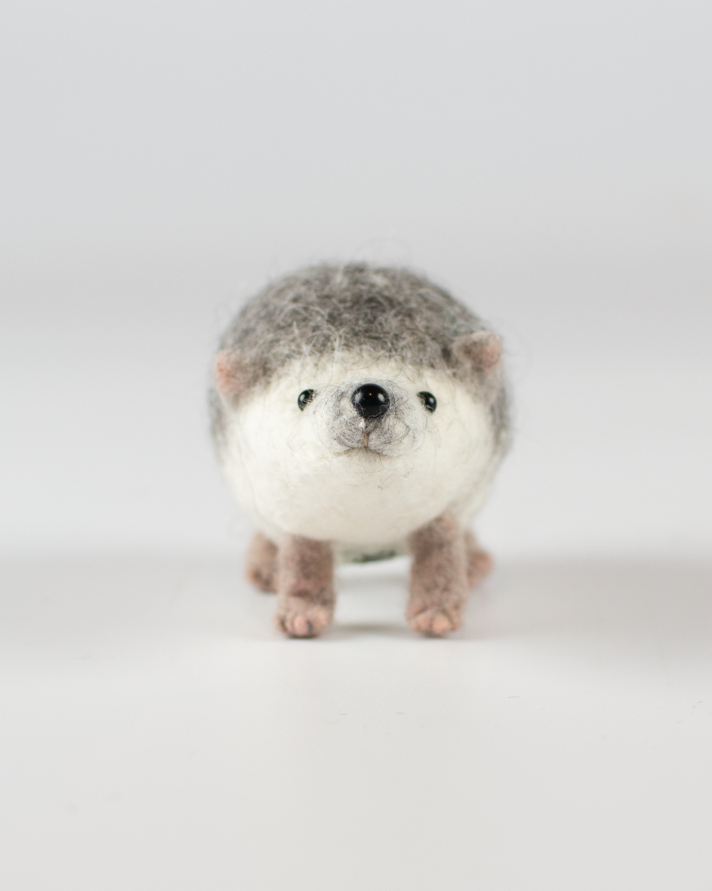 Hedgehog