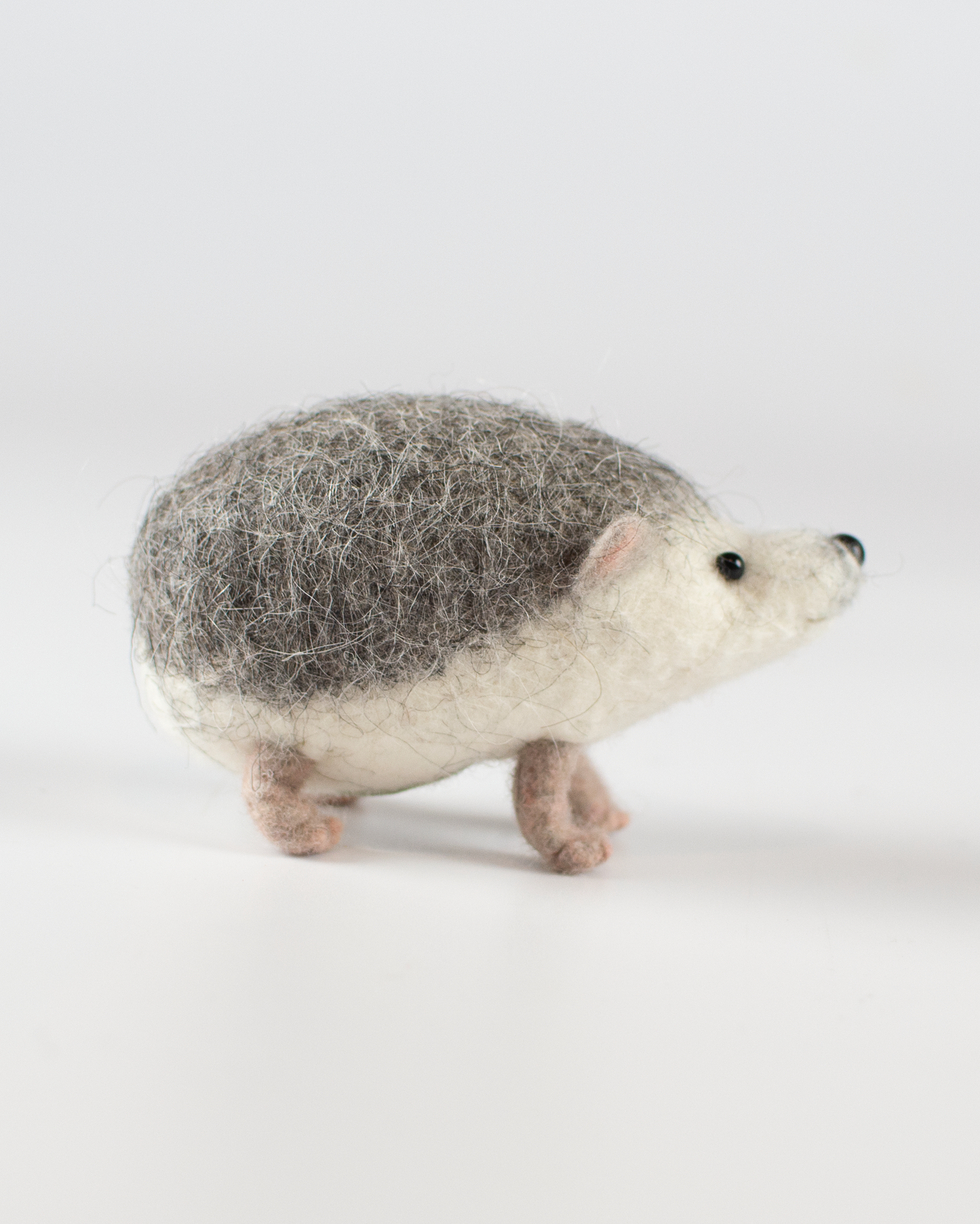 Hedgehog