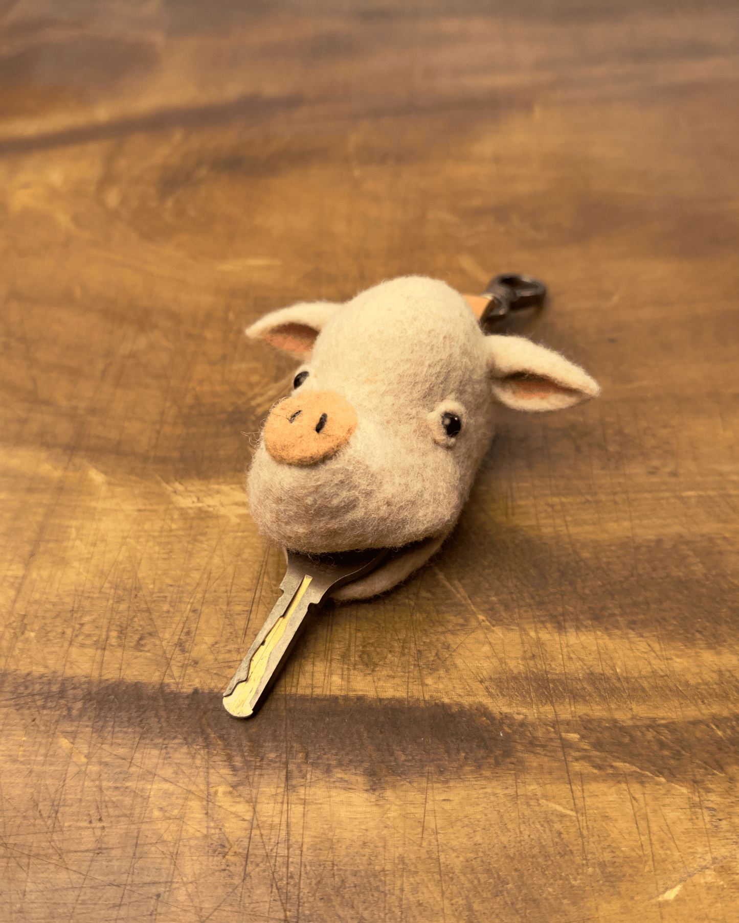 Key Case Piggy