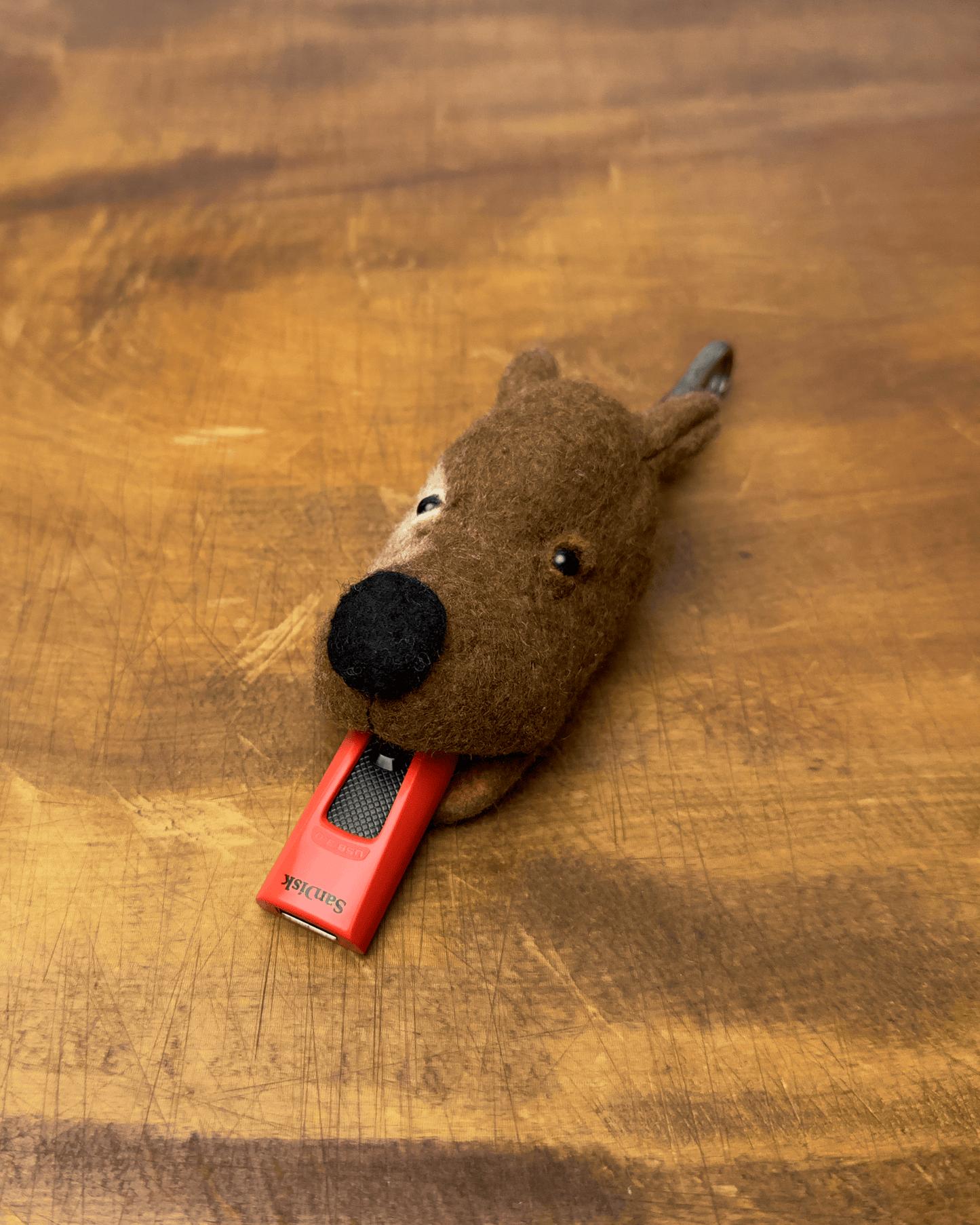 Dog Key Case