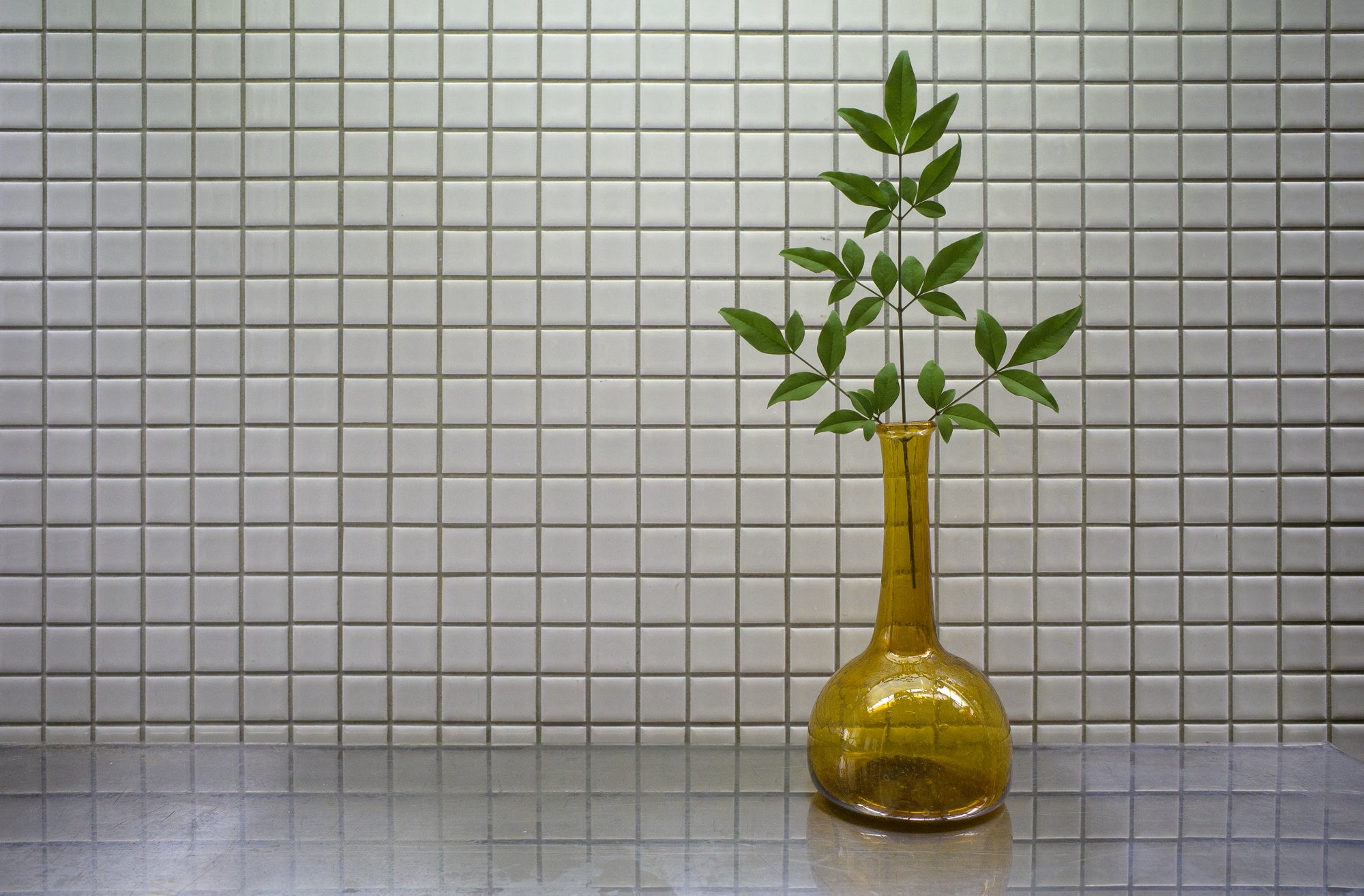 Glass vase with green leaves against a tiled wall
